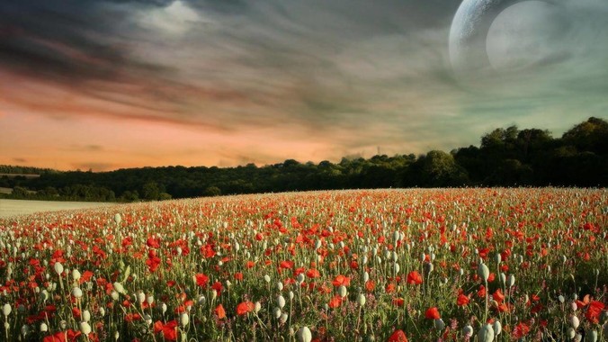 IT行业夫妻双双被裁，想去新西兰闯一闯可以吗？